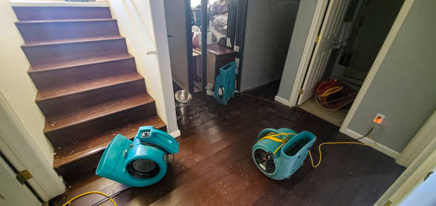 Best Residential water damage restoration  in Grand Saline, TX