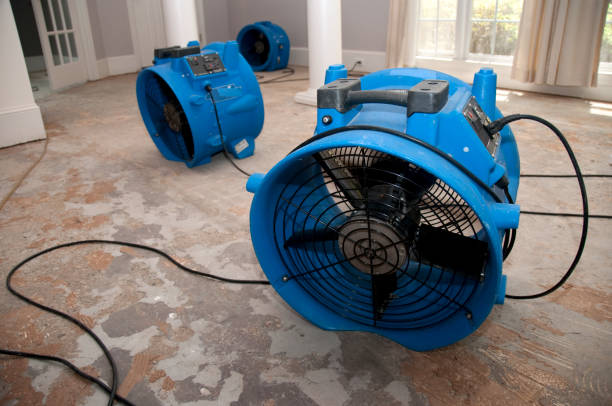Best Flood damage cleanup  in Grand Saline, TX